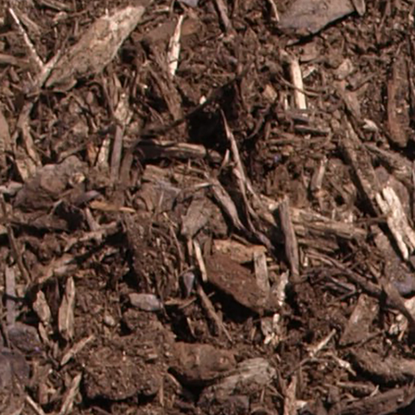 once-ground-bark