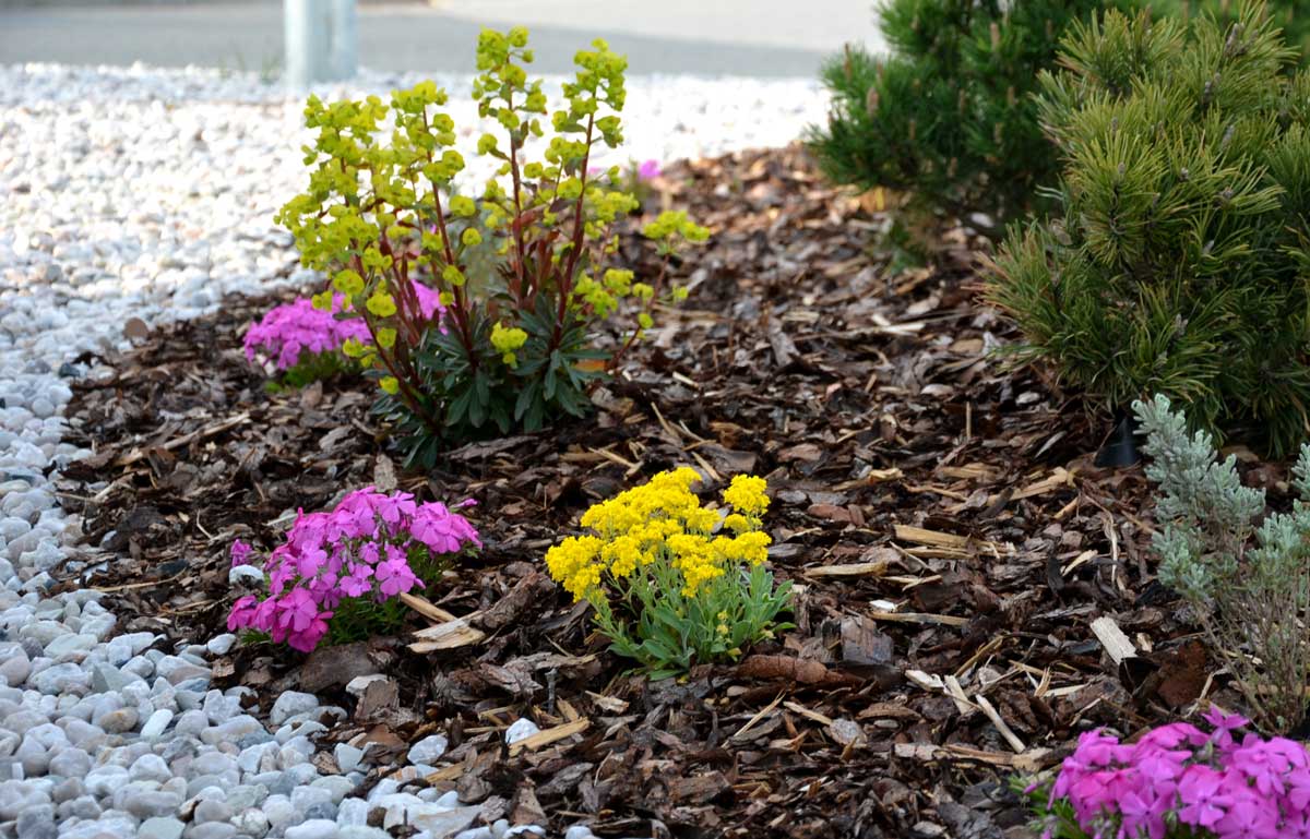 mix of mulch and stone